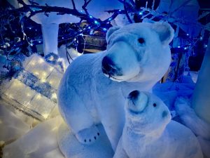 IL REGNO DI BABBO NATALE